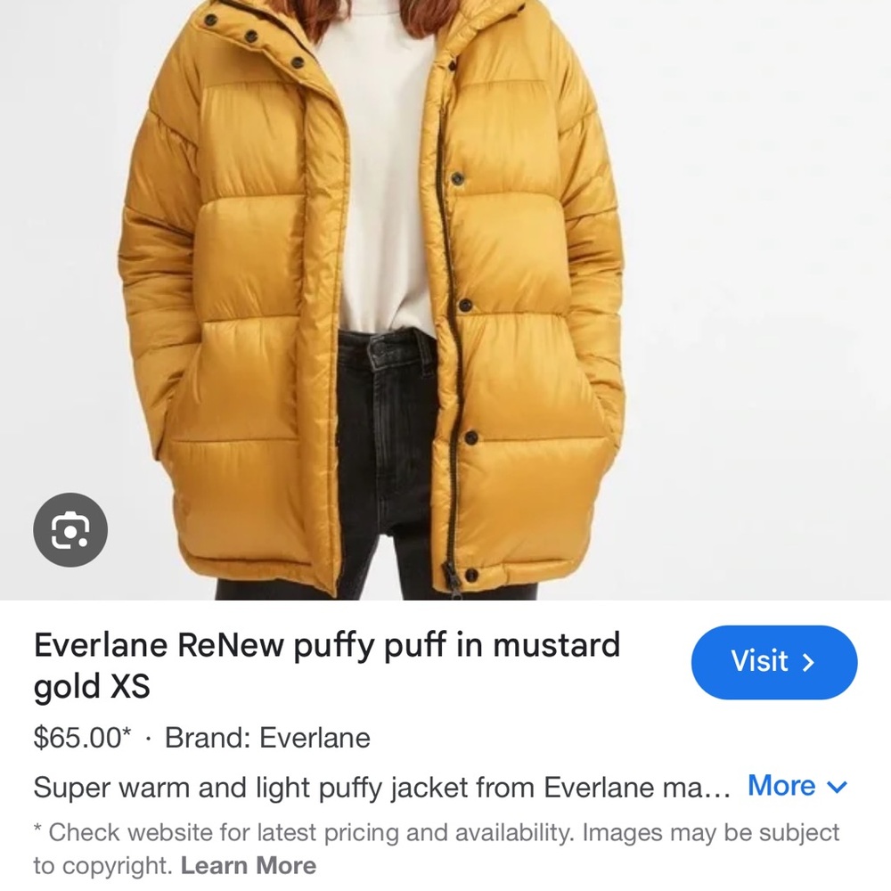 Everlane Renew puffy jacket